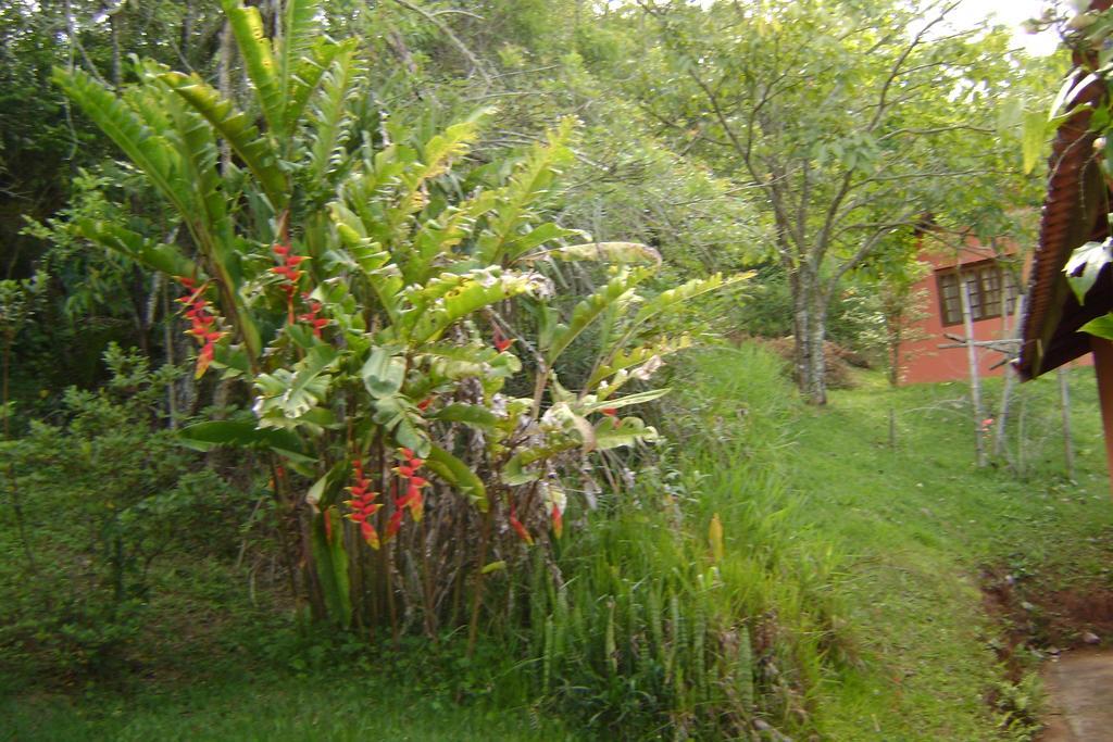 Pousada Passaredo Montanha Ibiúna Eksteriør bilde