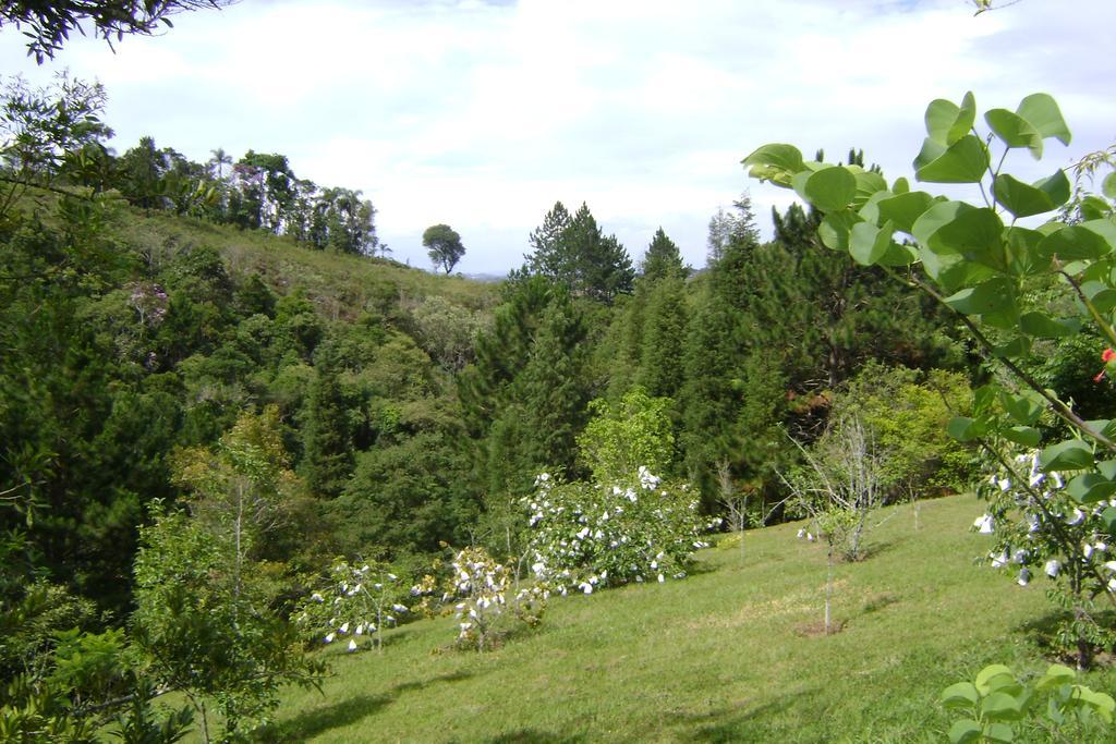 Pousada Passaredo Montanha Ibiúna Eksteriør bilde
